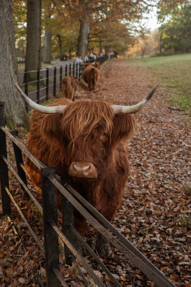 How to Spend a Quiet Day in Glasgow, Scotland
