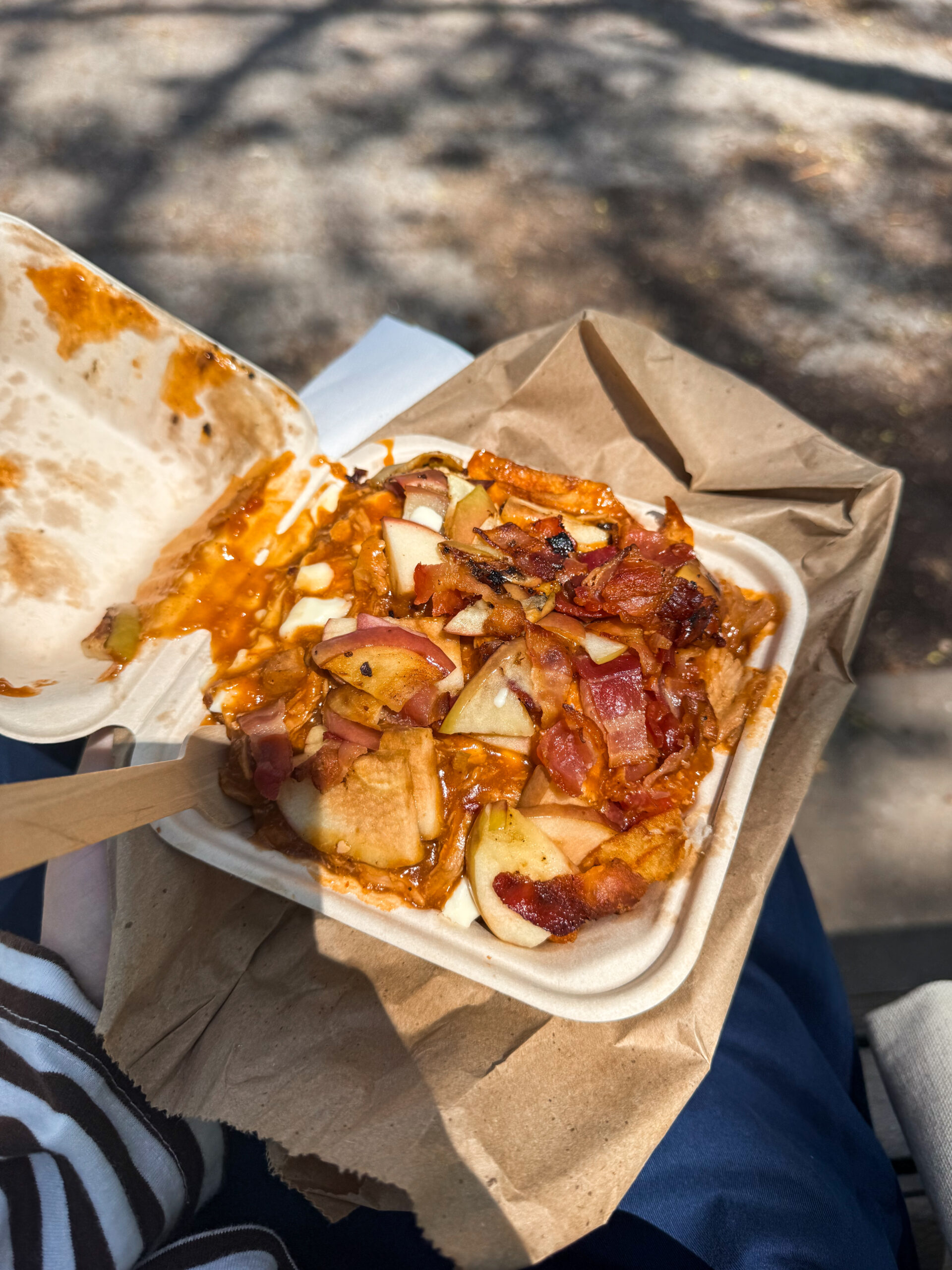 poutine in takeout container.