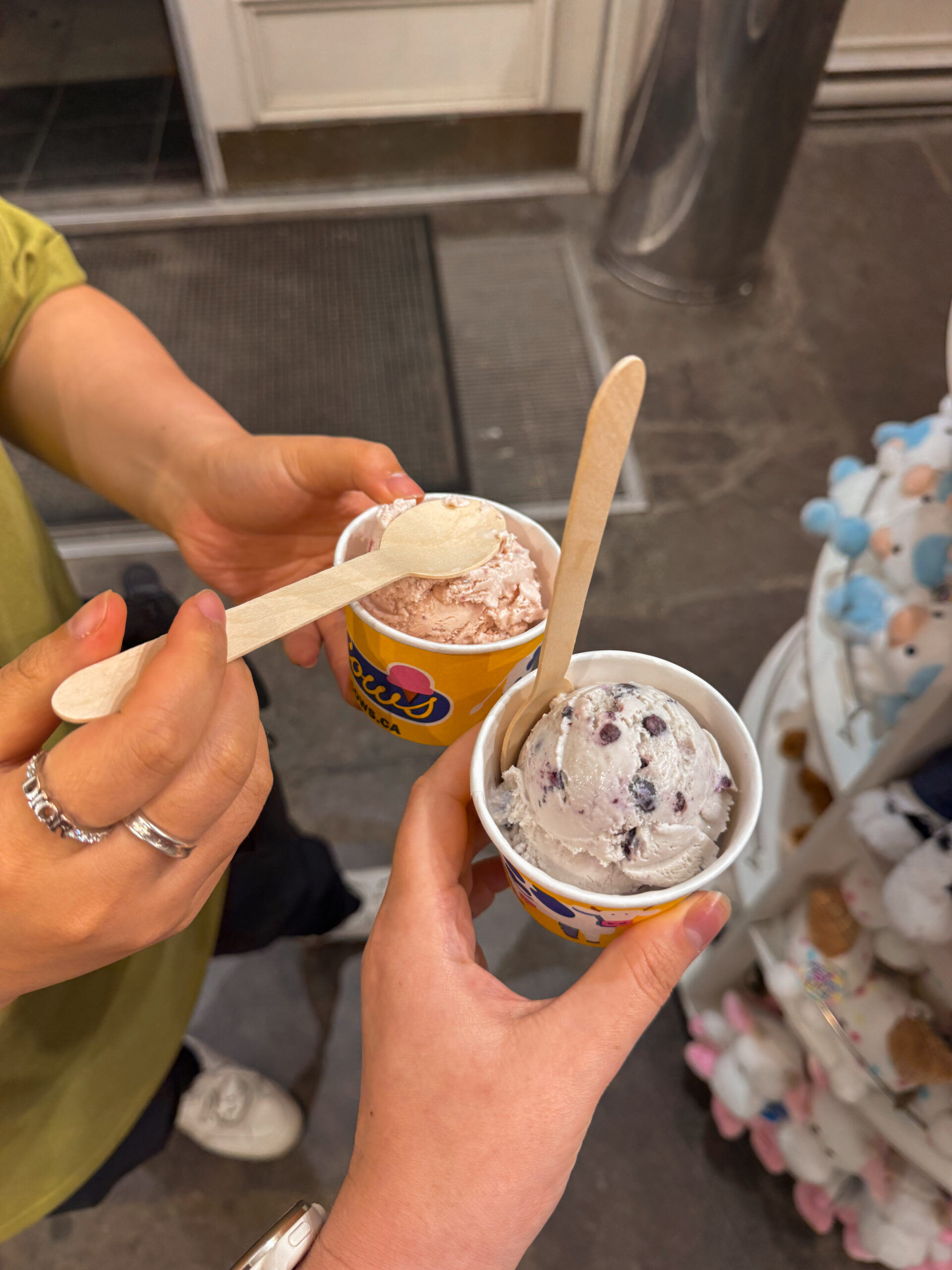 two ice cream cups.