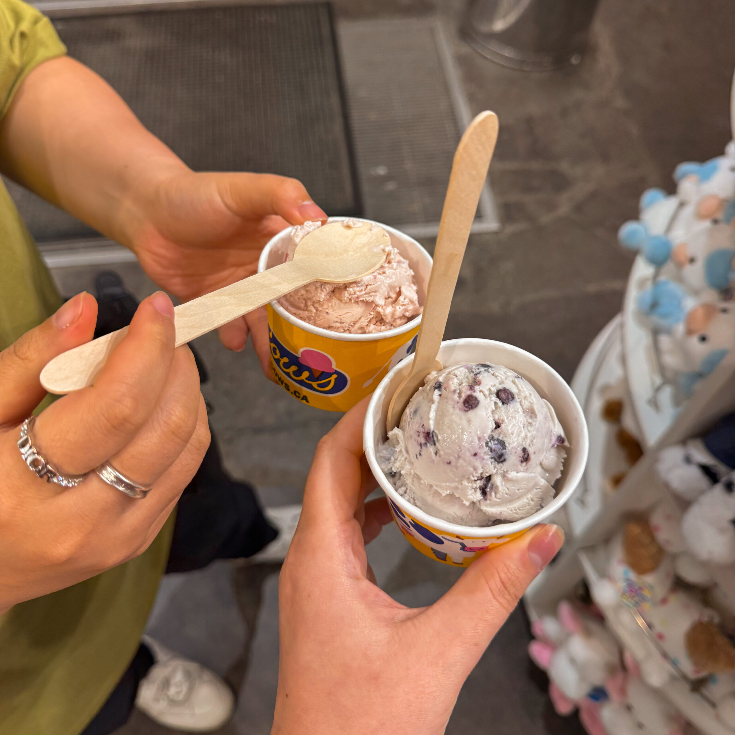 two cups of ice cream from cows in Quebec City.